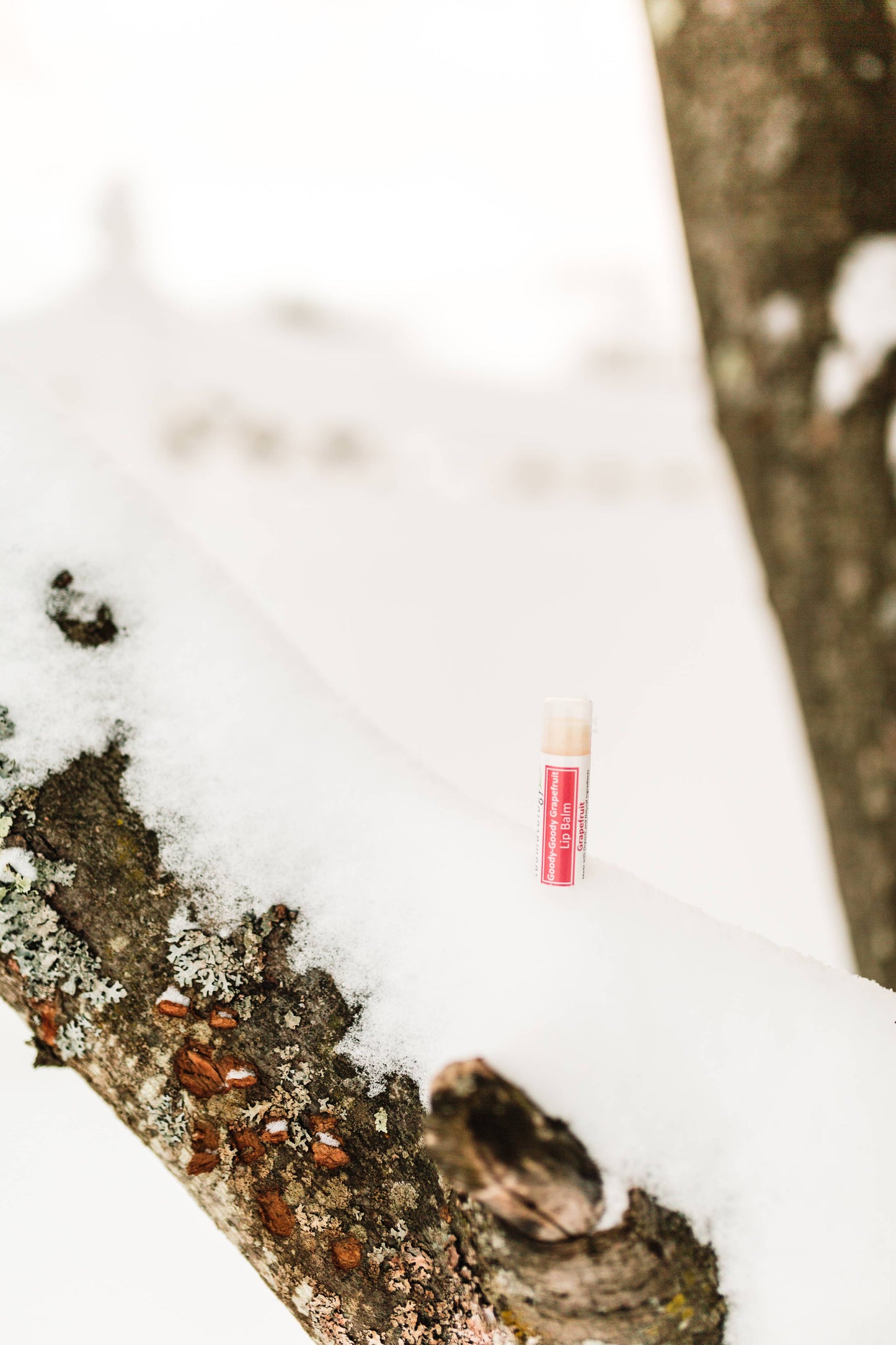 Lip Balm | Organic & Infused with Essential Oils : Minty Madness (Peppermint Eucalyptus)