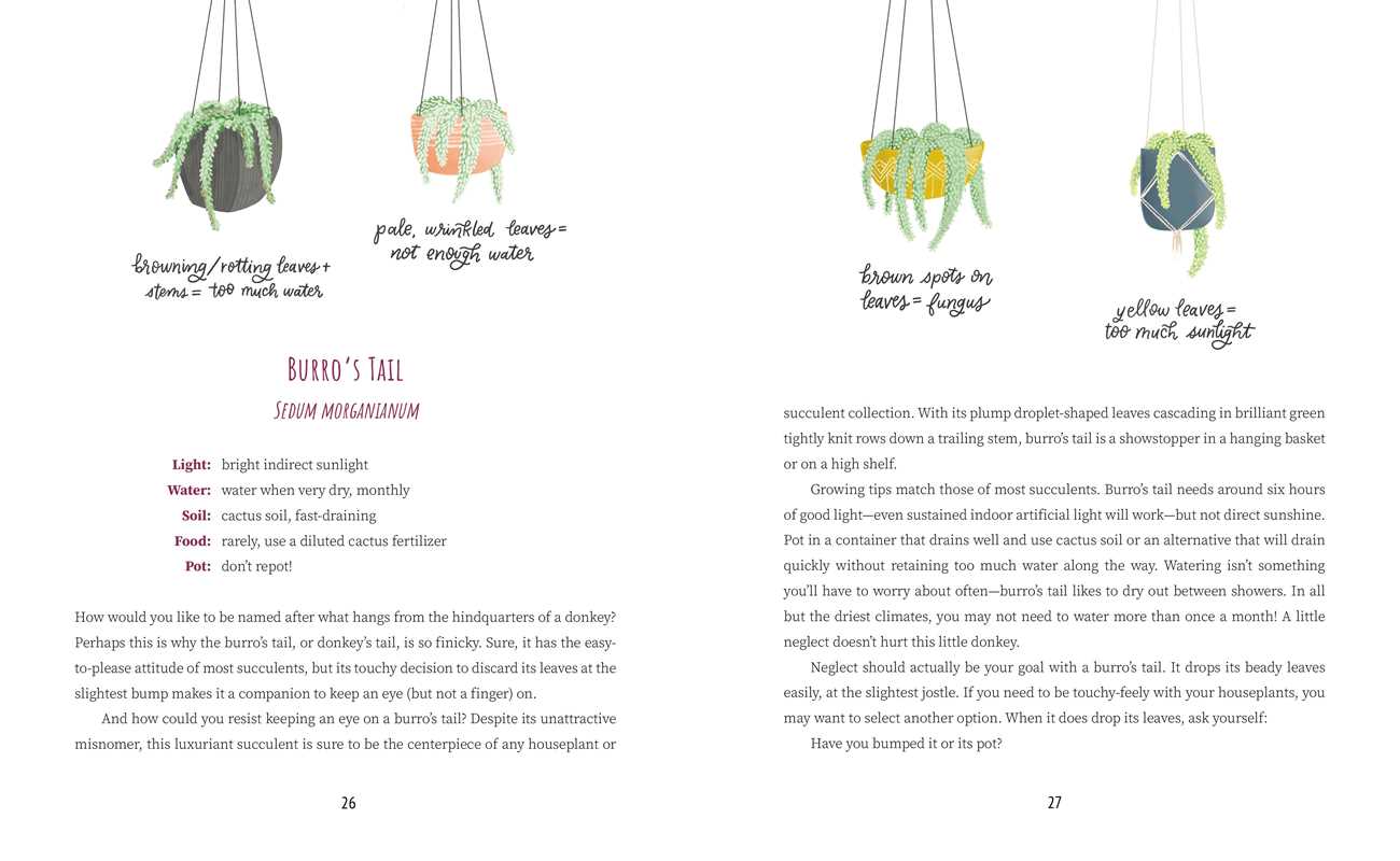 What Is My Plant Telling Me? by Emily L. Hay Hinsdale