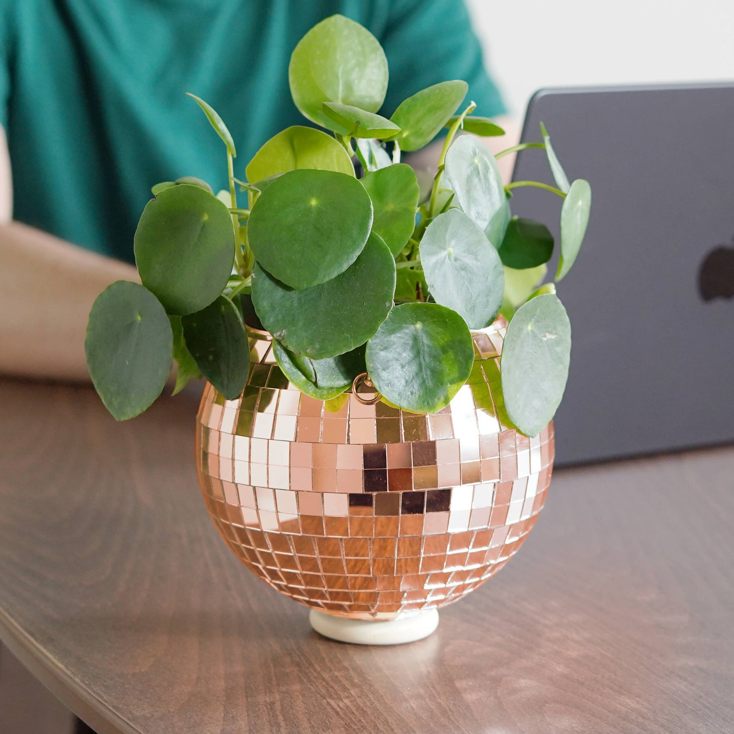 Disco Ball Hanging Planter - Rose Gold (6in)