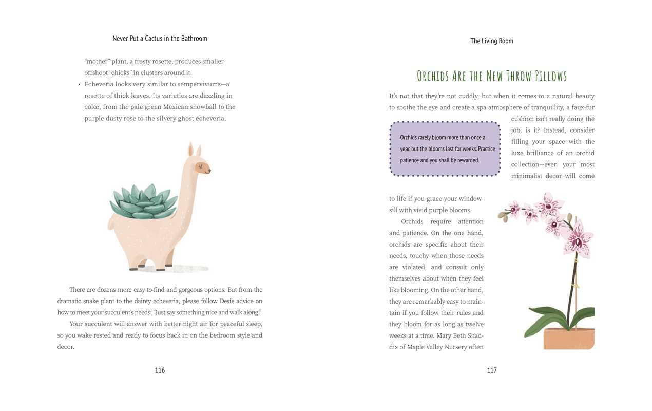 Never Put a Cactus in the Bathroom by Emily L. Hay Hinsdale