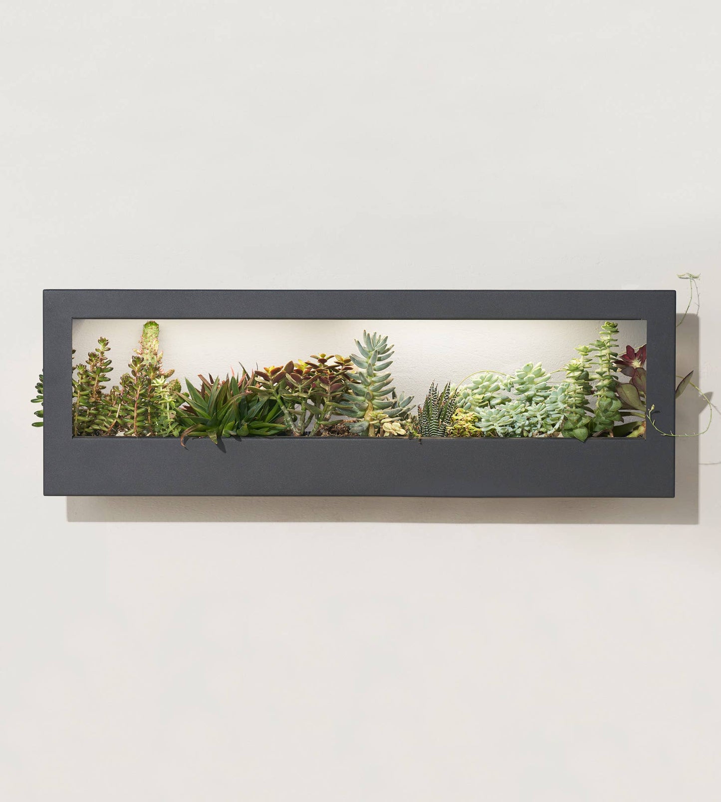 Smart LED Light Landscape Growframe: Matte Black