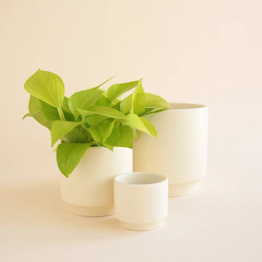 Parker Planter | Vintage White Speckle: 6.75 inch