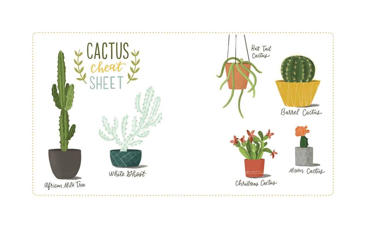 Never Put a Cactus in the Bathroom by Emily L. Hay Hinsdale