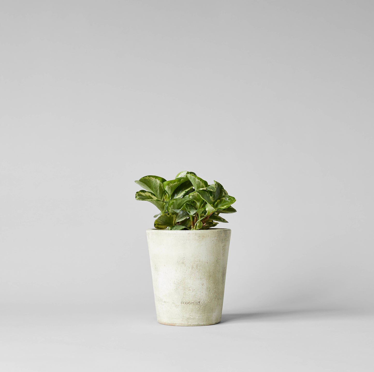 Basic Planter, White Patina: Medium