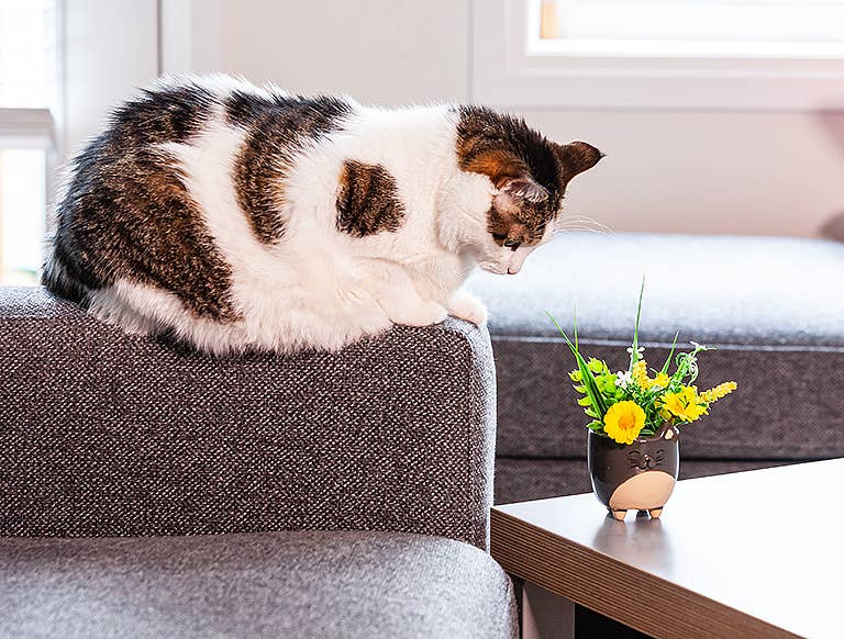 Cat on Legs Planter-Small