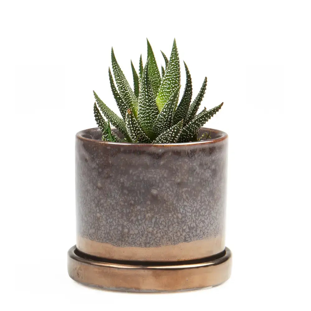 Lined Planter