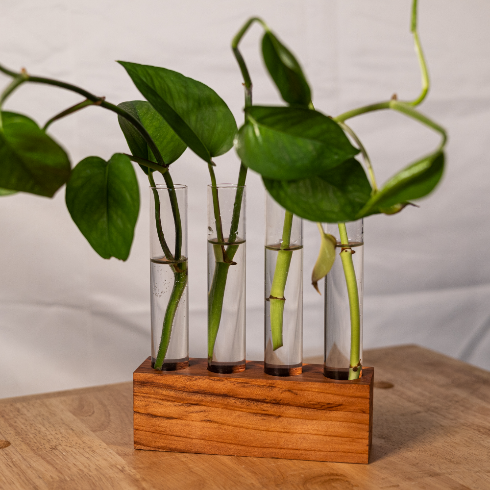 Handmade Propagation Station: Ethically Sourced Redwood