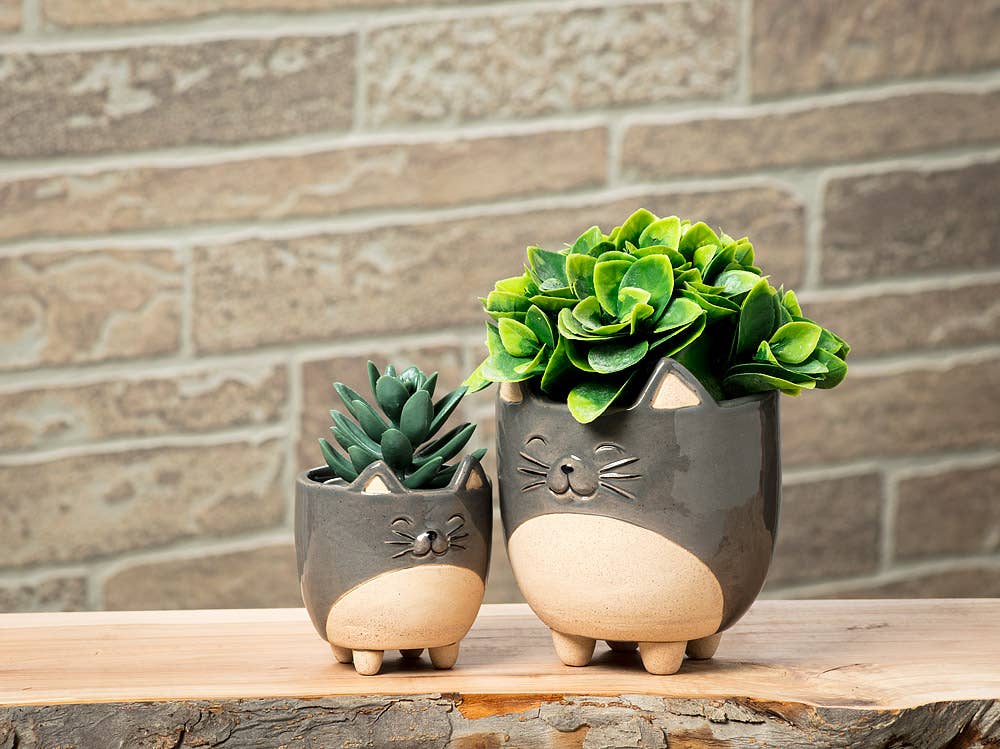 Cat on Legs Planter-Small