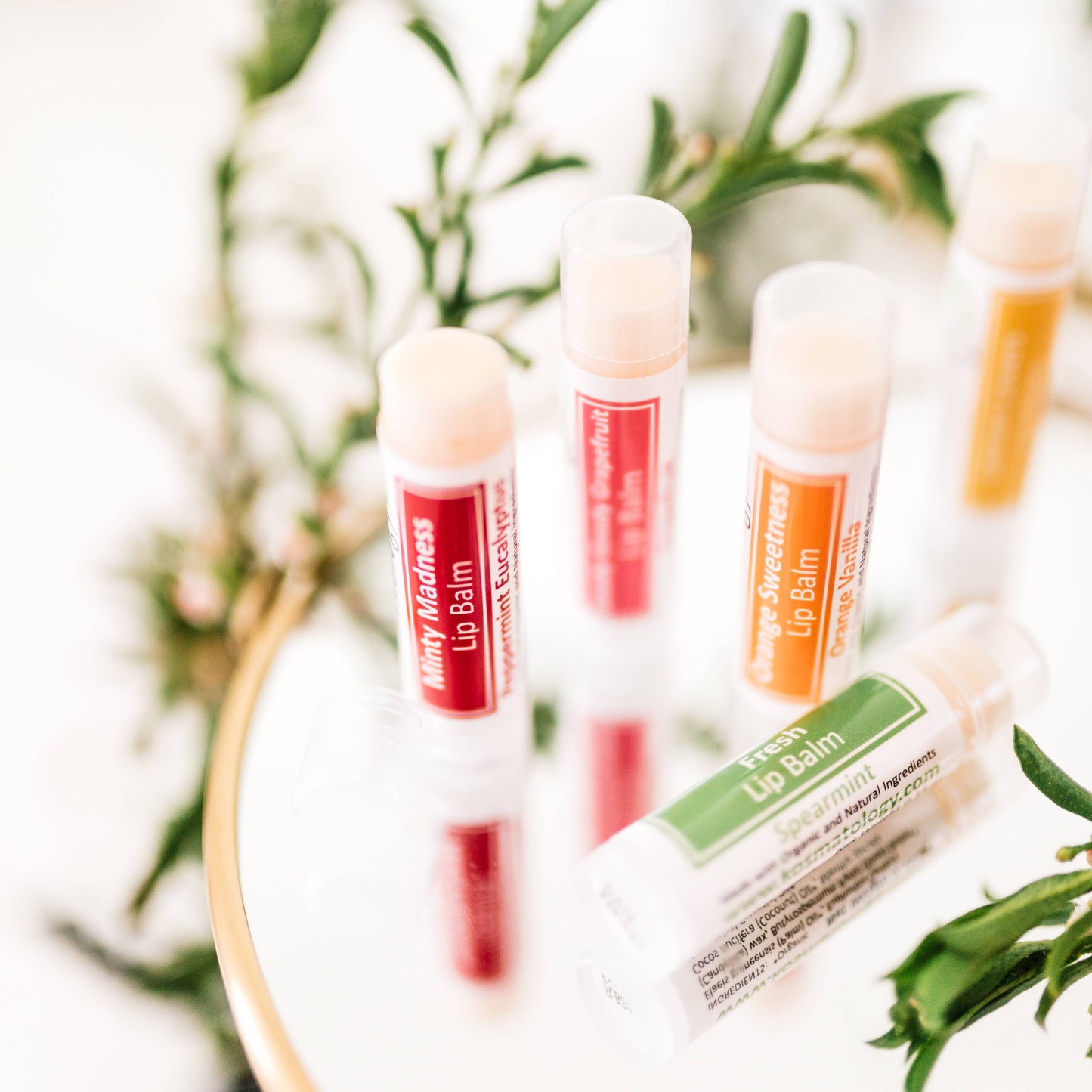 Lip Balm | Organic & Infused with Essential Oils : Minty Madness (Peppermint Eucalyptus)