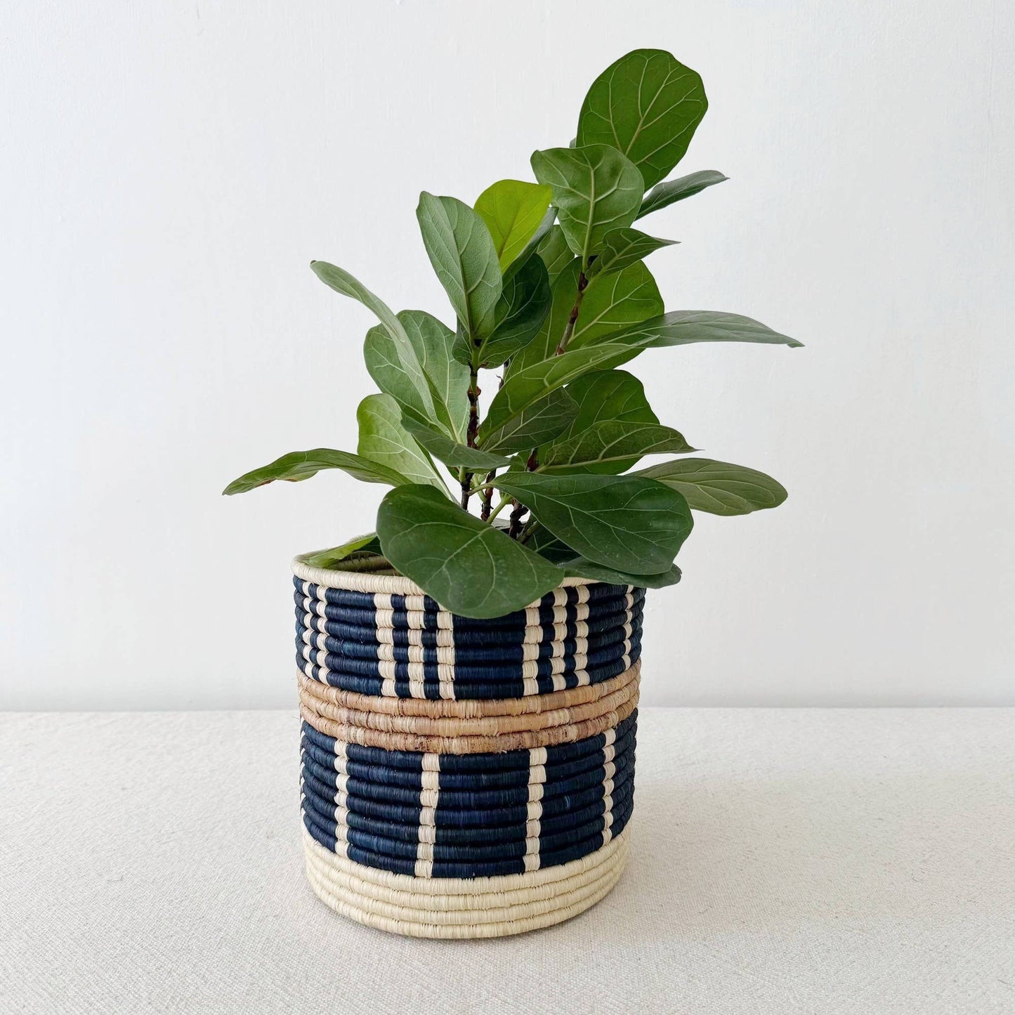 Bamba Storage Plant Basket