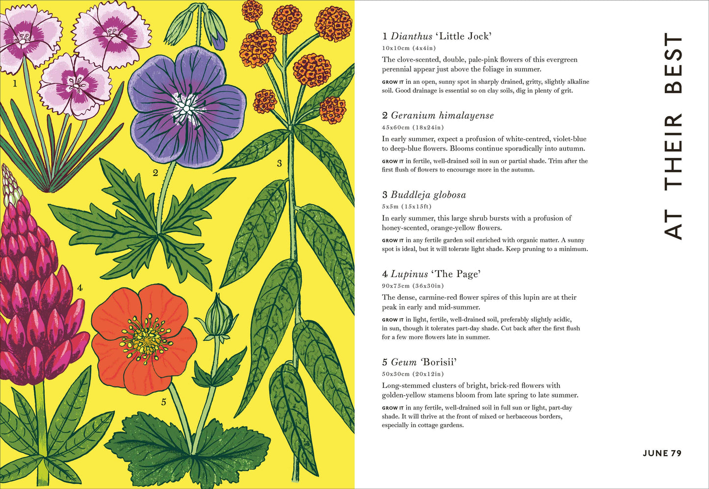 Your Gardening Year