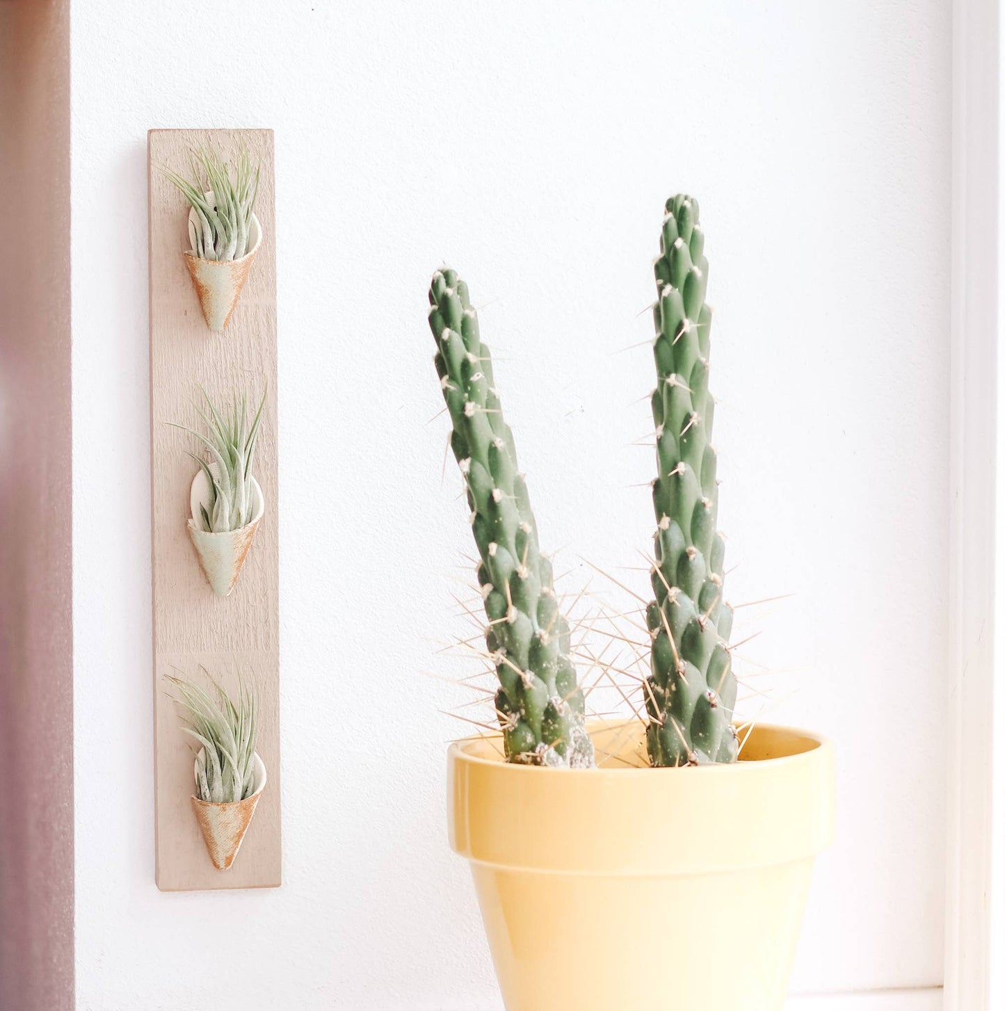 Ceramic Wall Planter - Triple