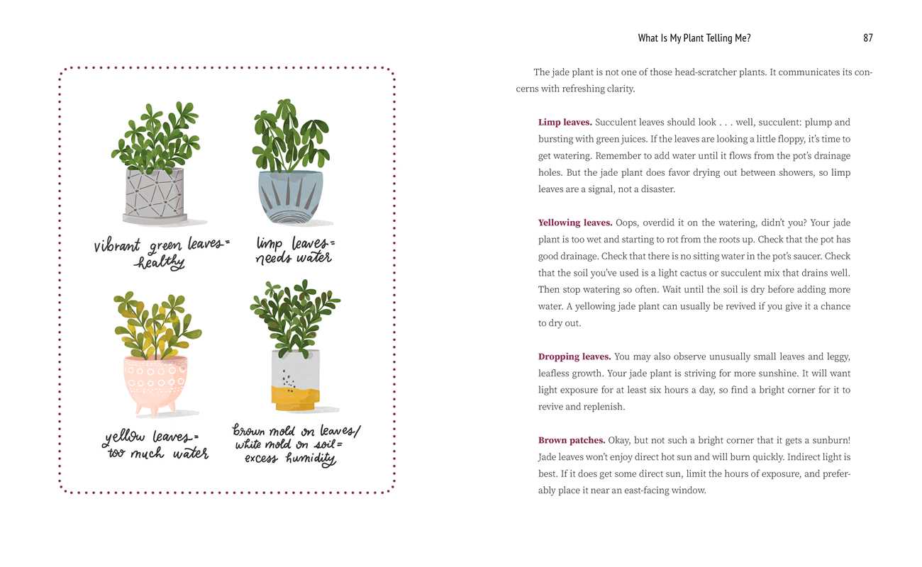 What Is My Plant Telling Me? by Emily L. Hay Hinsdale