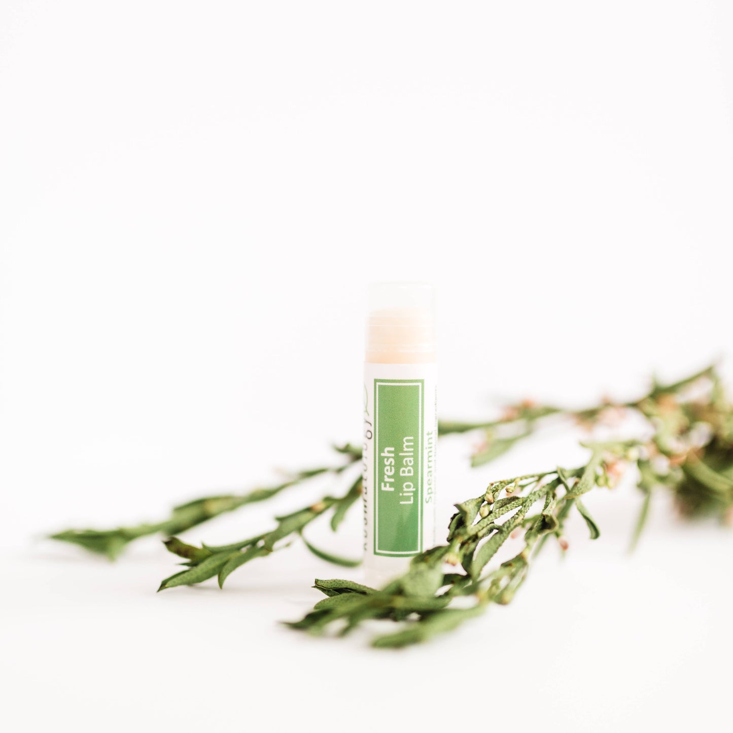 Lip Balm | Organic & Infused with Essential Oils : Minty Madness (Peppermint Eucalyptus)