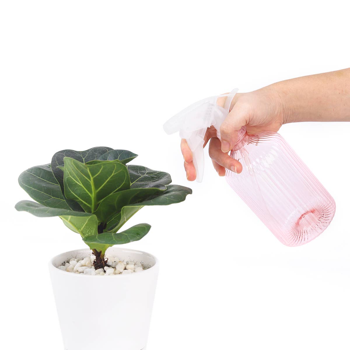 16.9oz Plastic Spray Bottle, Mister For Plants, 3 Colors
