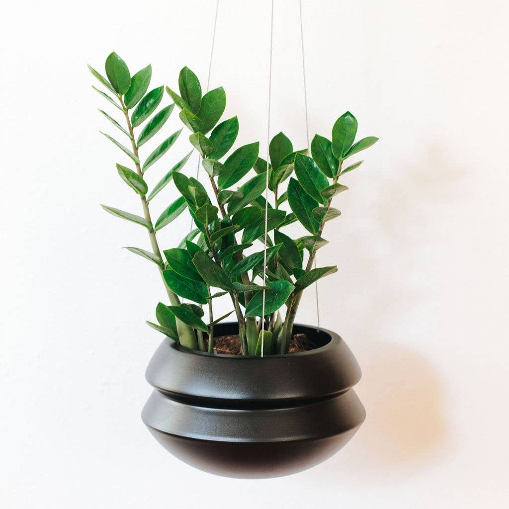 Hanging Planter