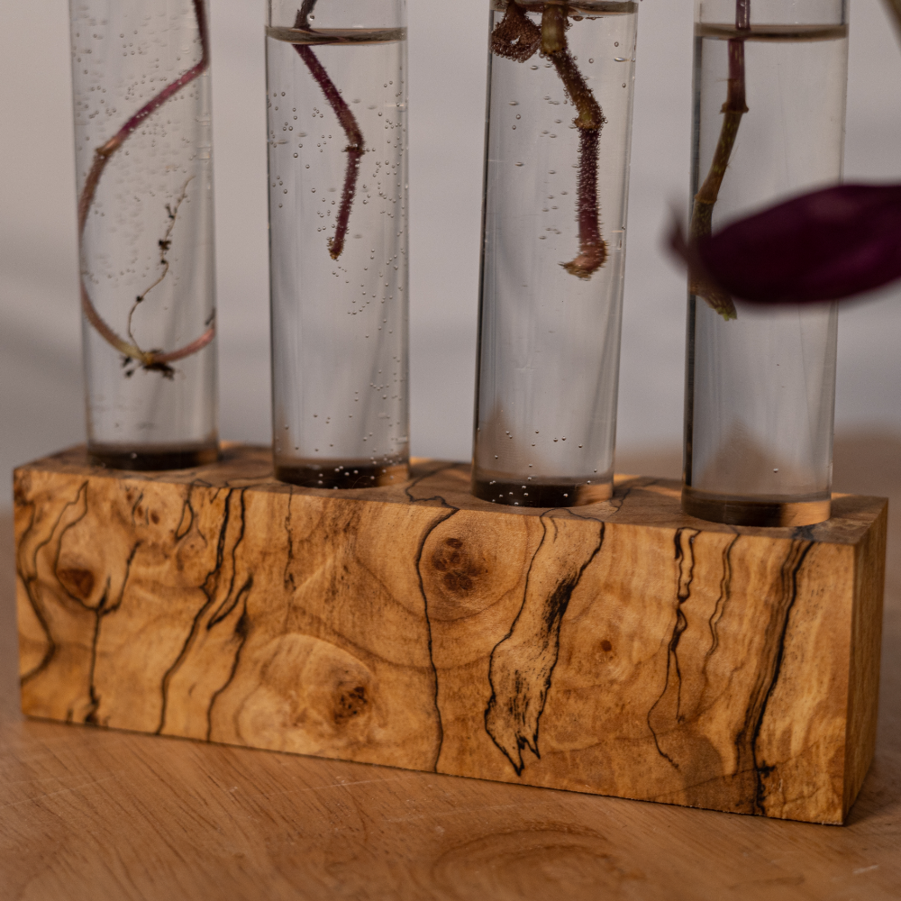 Handmade Propagation Station: Ethically Sourced Redwood