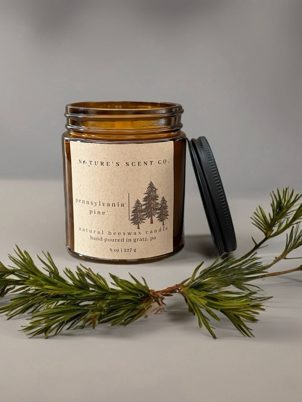 Pennsylvania Pine | Beeswax Candle | Wood Wick | Gift