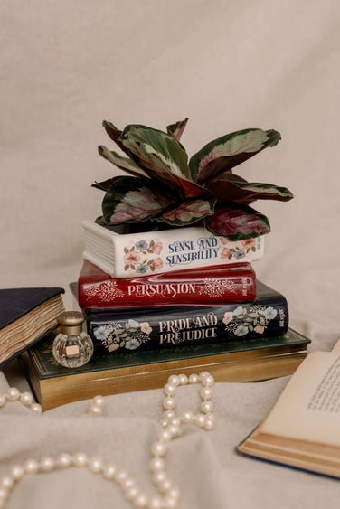 Stacked Books Planter