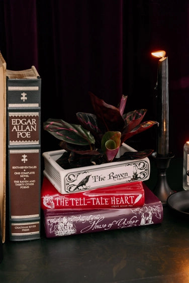 Stacked Books Planter
