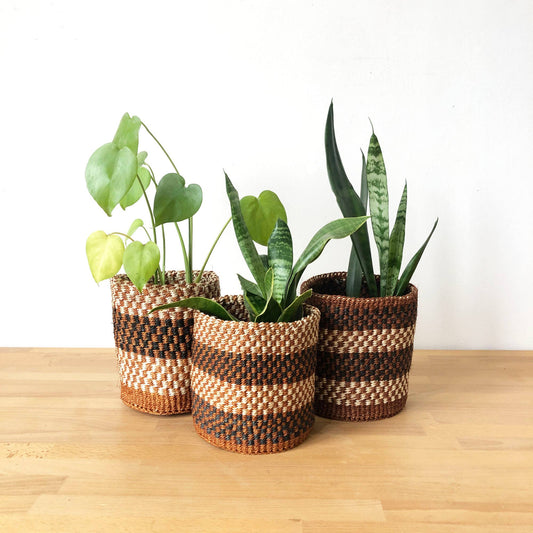 XS Checkered Baskets (Assorted)