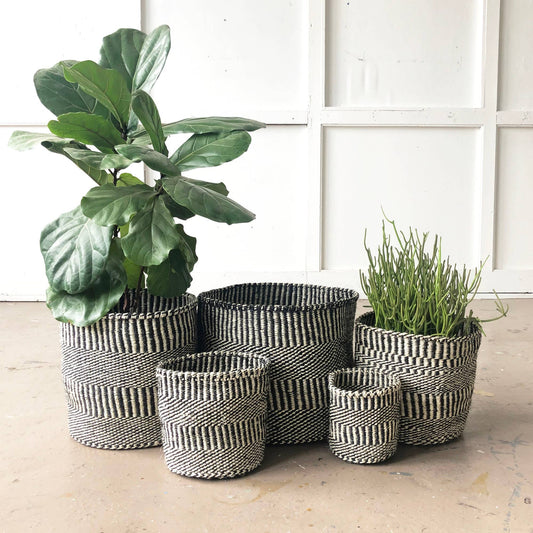 Storage Plant Basket: Dots & Dash Large