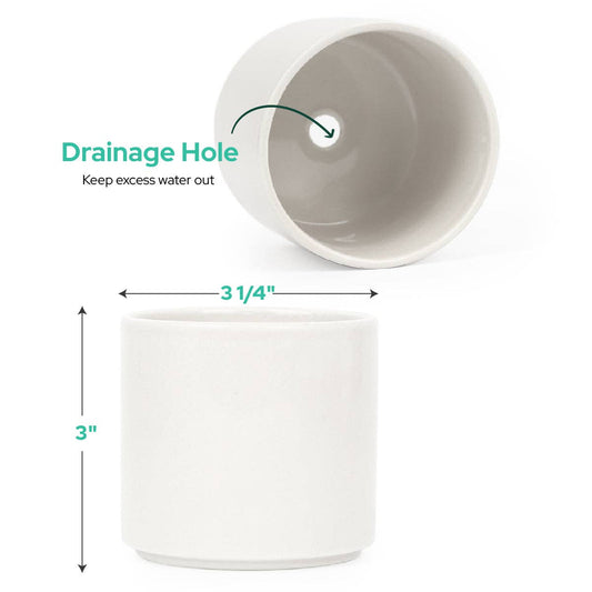 White Ceramic Plant Pot with Drainage, Pot for Succulents