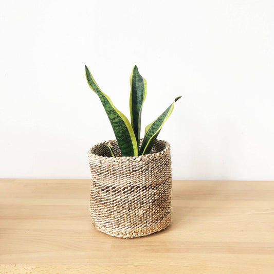 Storage Plant Basket: Banana Leaf