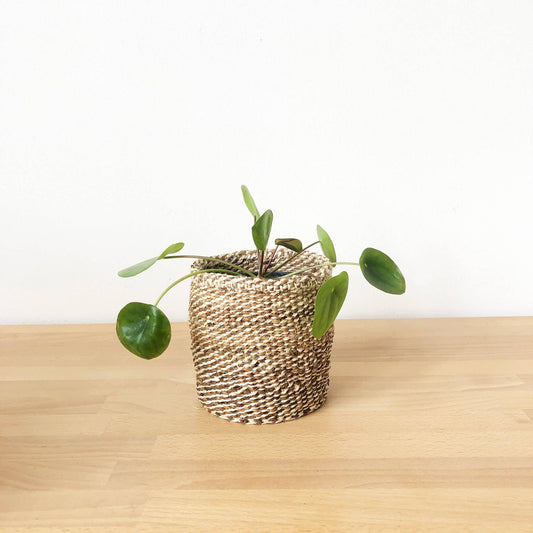 Storage Plant Basket: Banana Leaf