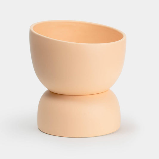 8.5" Self Watering Pot w/Plant