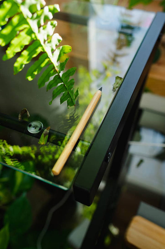 Never Ending Bamboo Pencil
