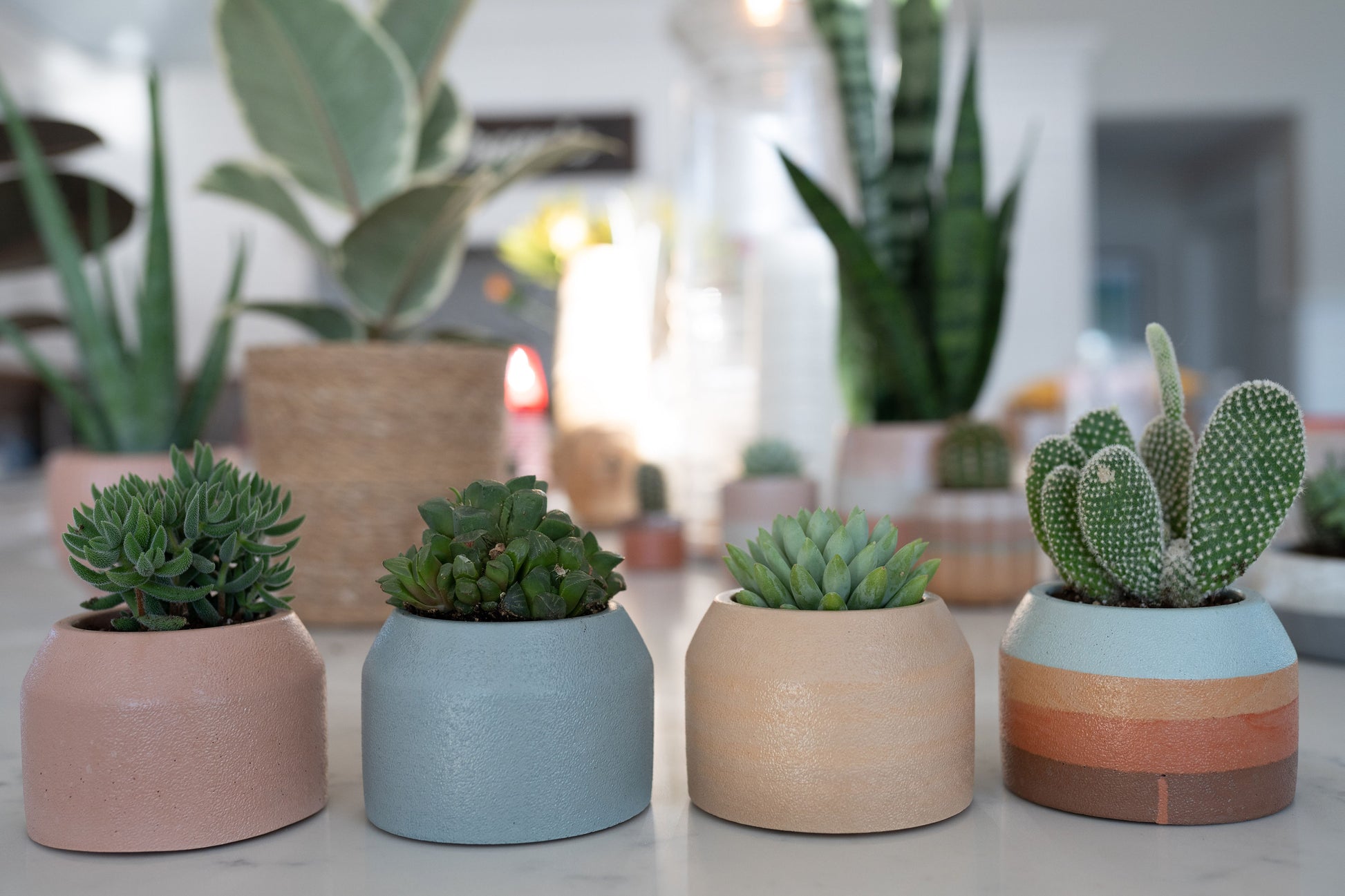 etsy pots for plants Stucco Planter – The Green House