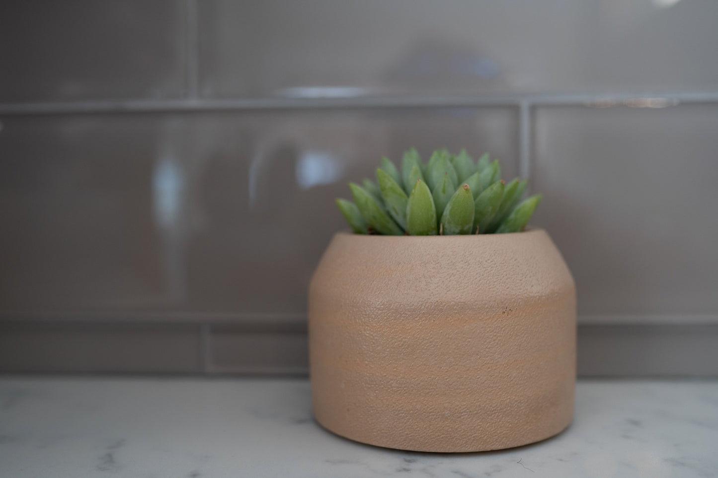 Stucco Planter