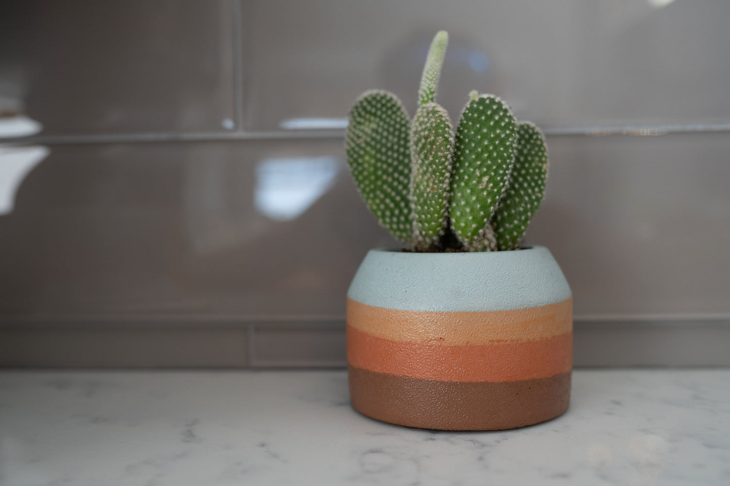 Stucco Planter