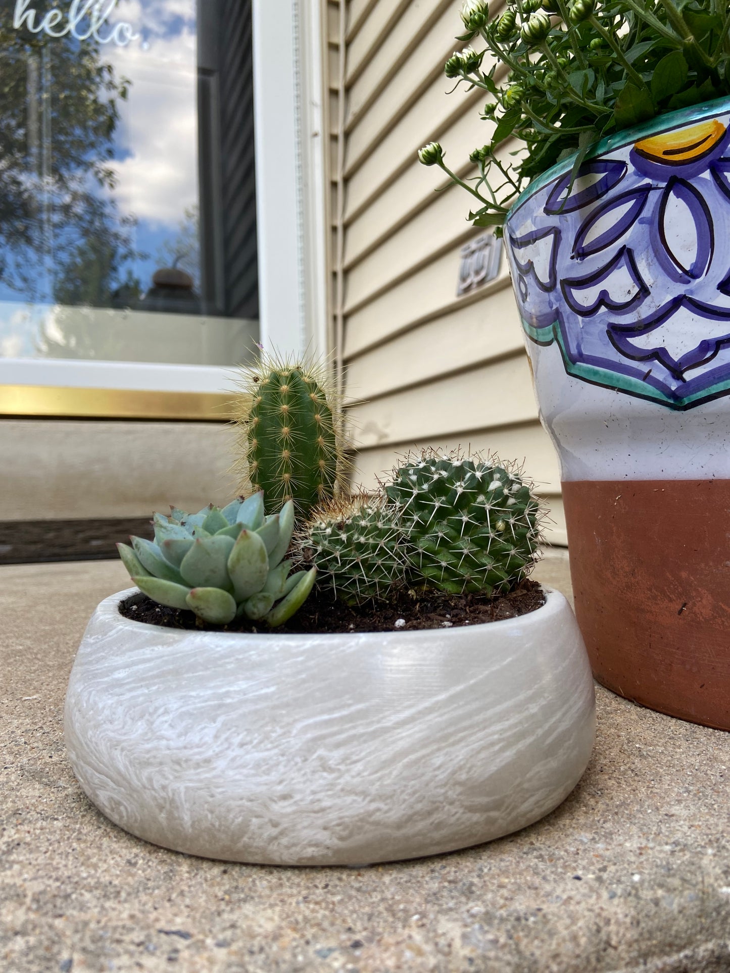 5.5" Bowl Planter w/Succulents