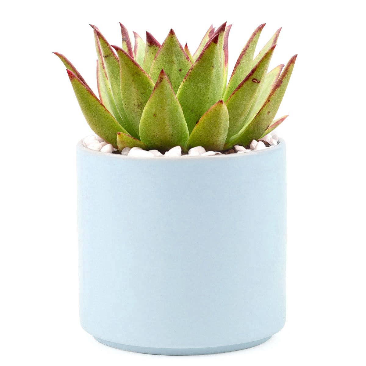 Blue Modern Succulent Pot with Drainage, Ceramic Plant Pot